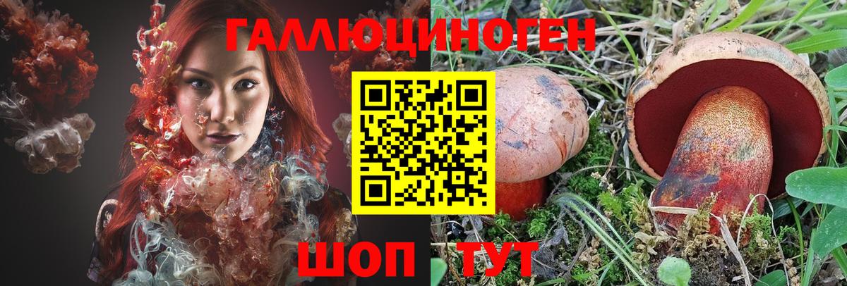 Галлюциногенные грибы GOLDEN TEACHER Будённовск