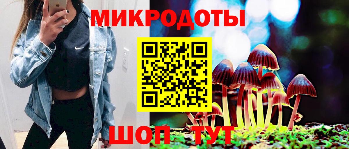 Будённовск  Галлюциногенные грибы GOLDEN TEACHER  Вход с VPN  Галлюциногенные грибы Psilocybe 